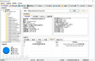 北极熊扫描器4.4企业版重磅发布，赋能企业网络与信息安全建设新高度